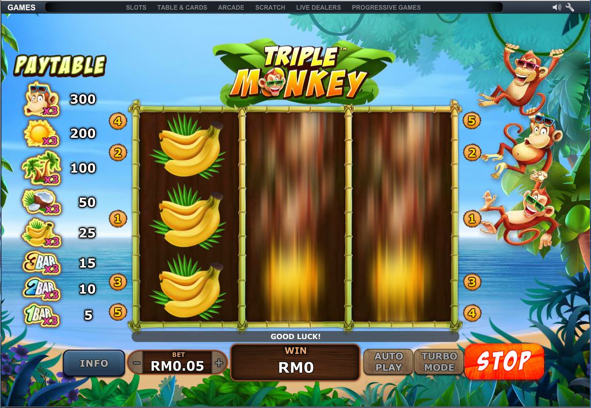 Triple Monkey 002.JPG - 191.20 kB