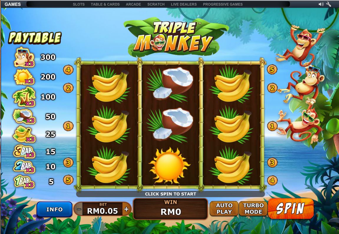 Triple Monkey 003.JPG - 204.64 kB