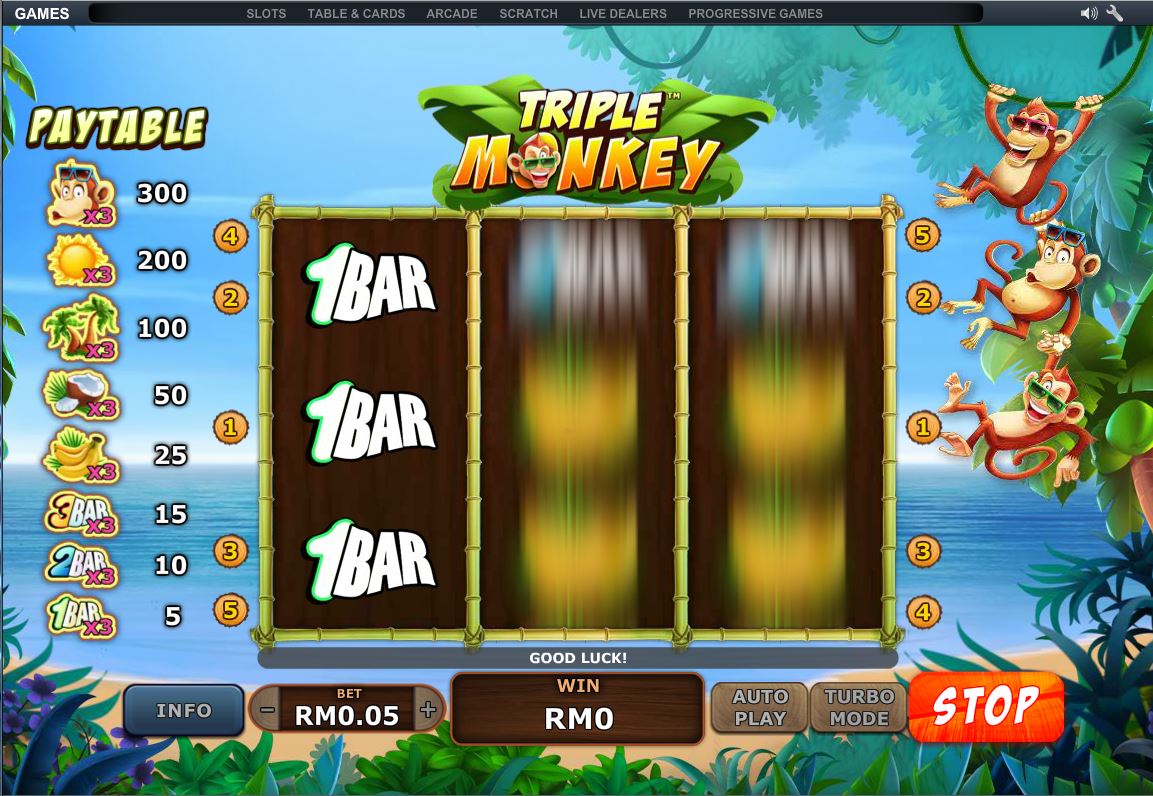 Triple Monkey 004.JPG - 187.49 kB